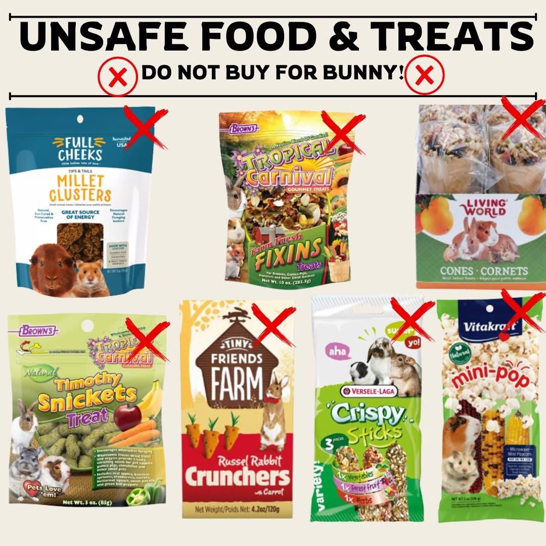 Rabbit Treat/Food Image