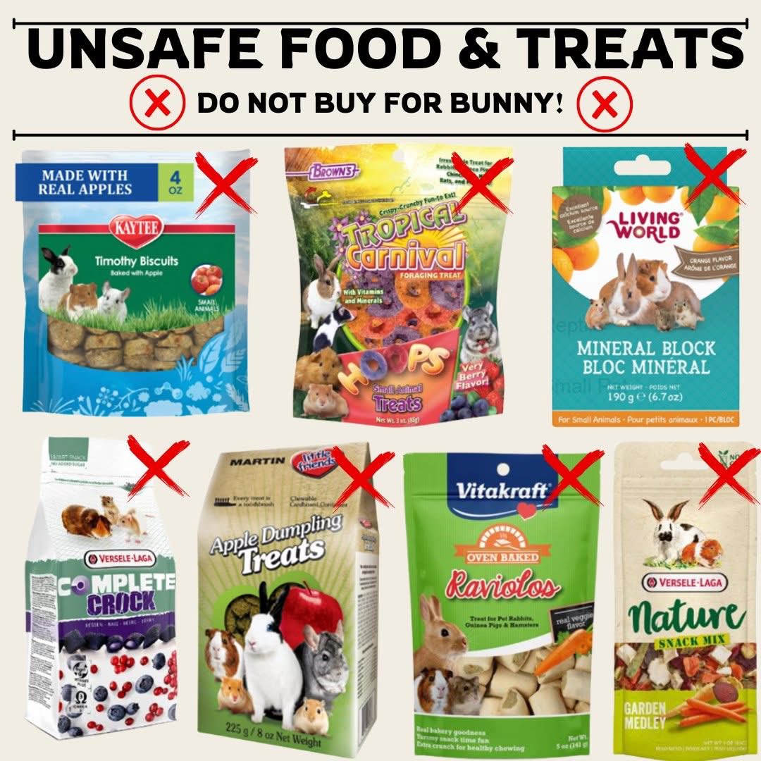 Rabbit Treat/Food Image