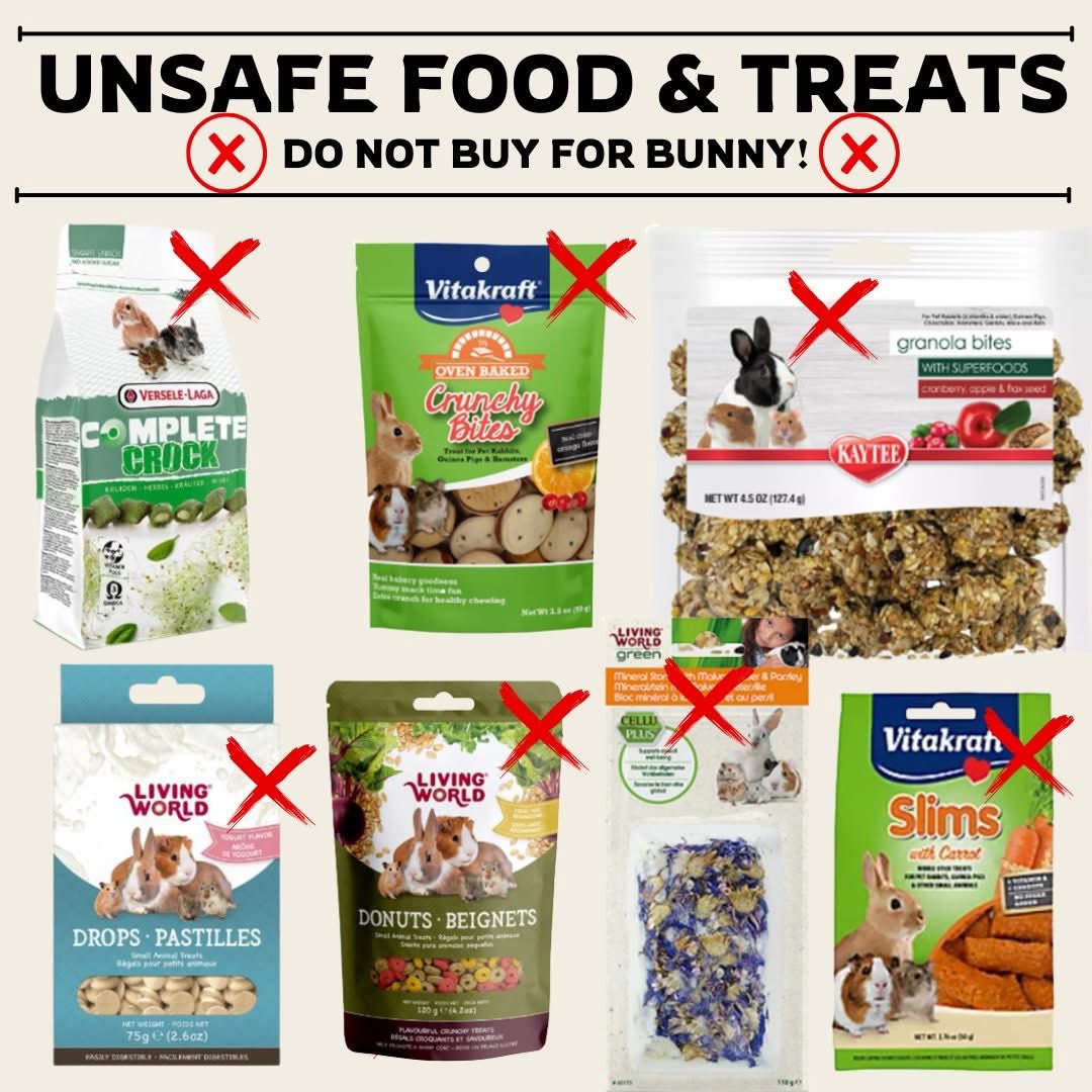 Rabbit Treat/Food Image