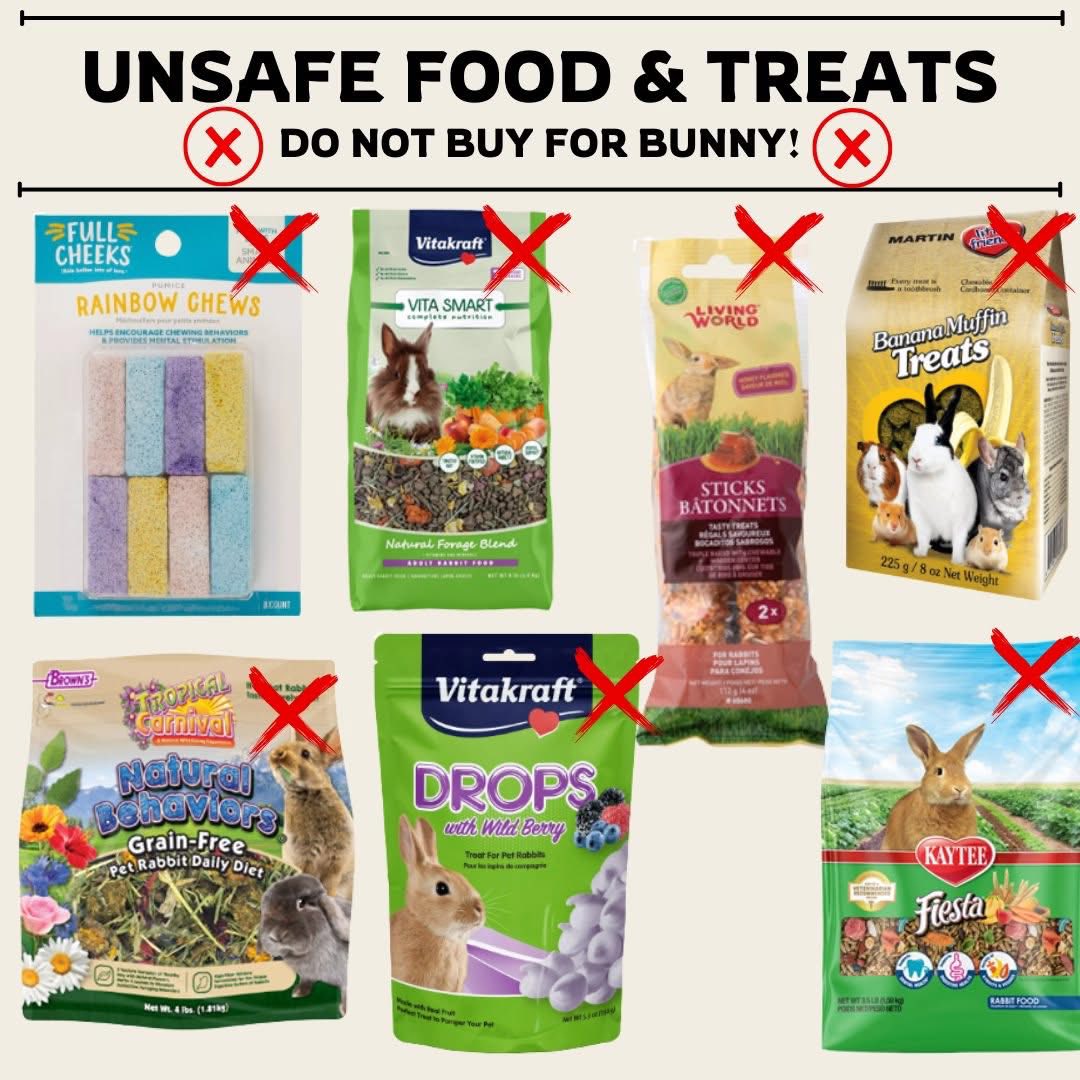 Rabbit Treat/Food Image