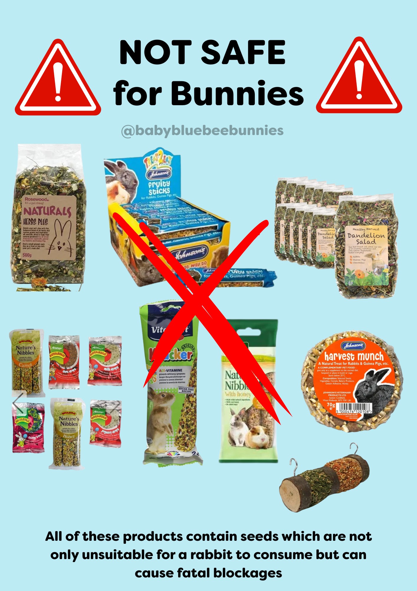 Rabbit Treat/Food Image