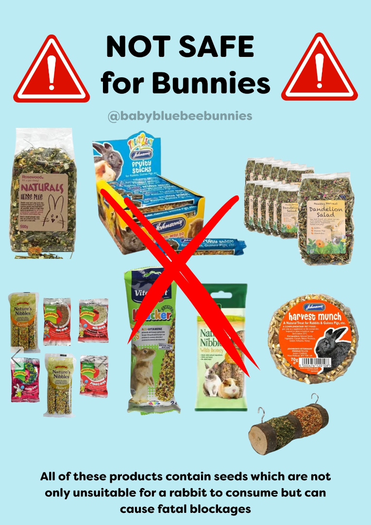 Rabbit Treat/Food Image