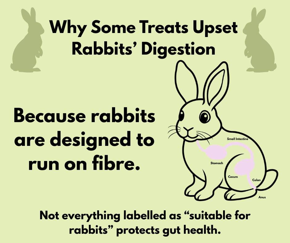 Rabbit Treat/Food Image