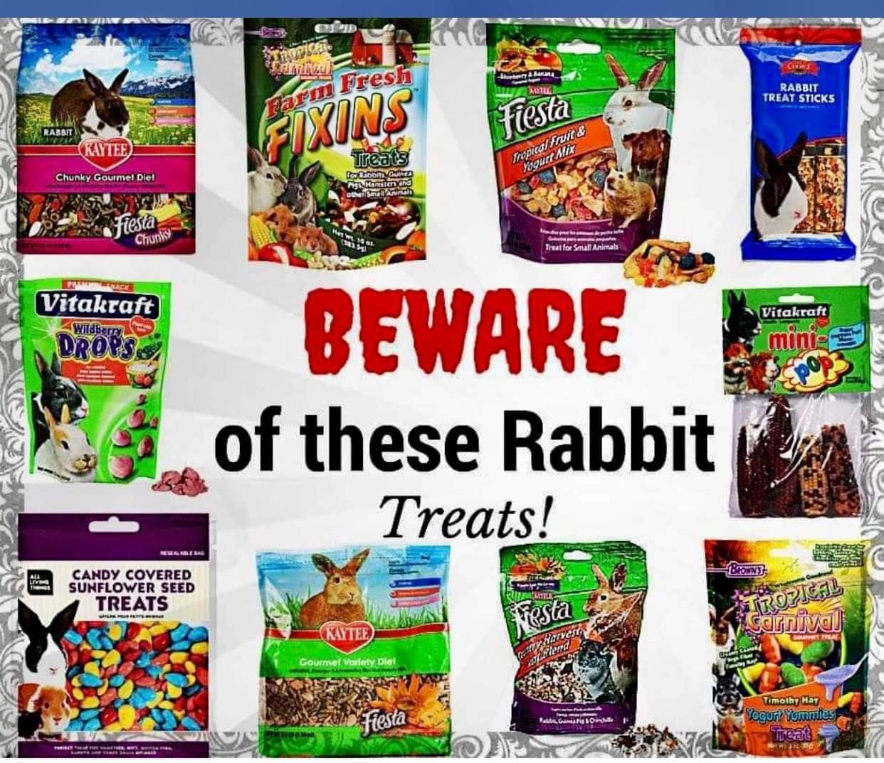 Rabbit Treat/Food Image
