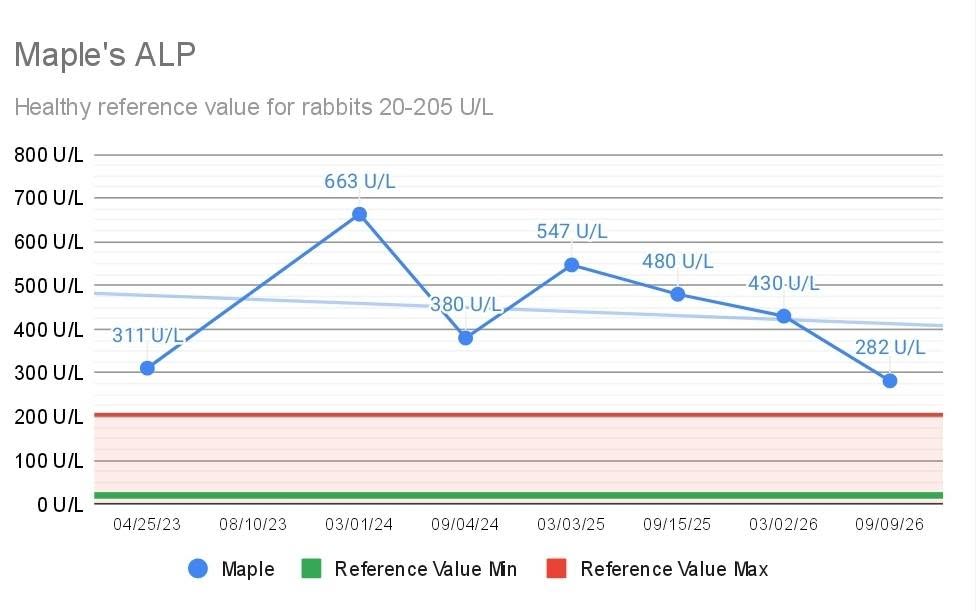 Line chart of Maple's ALP values over time