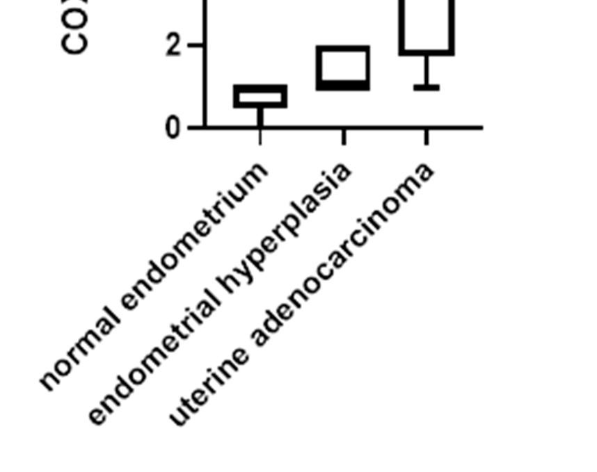 Figure 6 - Statistical Boxplot Bottom Labels