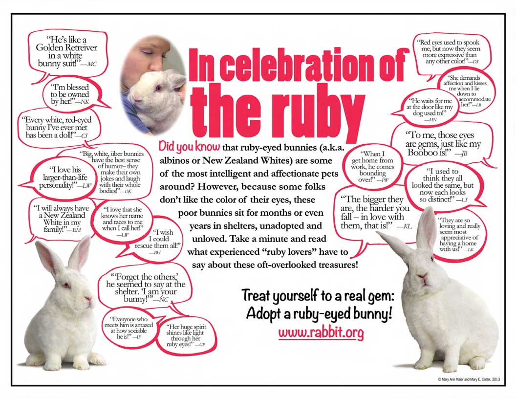 Rabbit Treat/Food Image