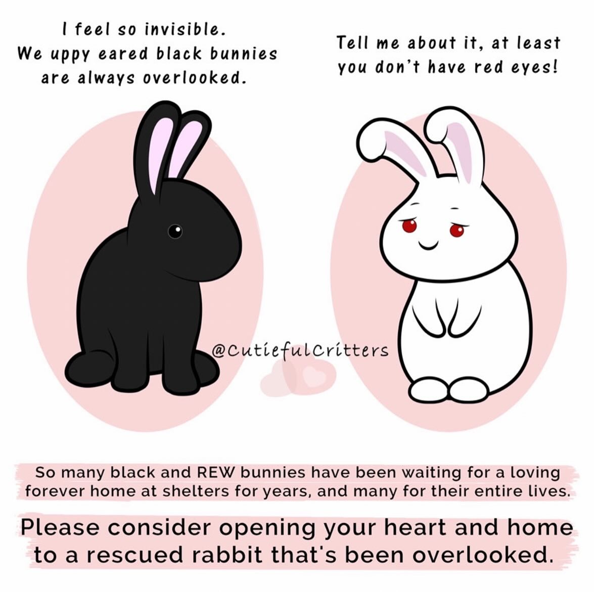 Rabbit Treat/Food Image