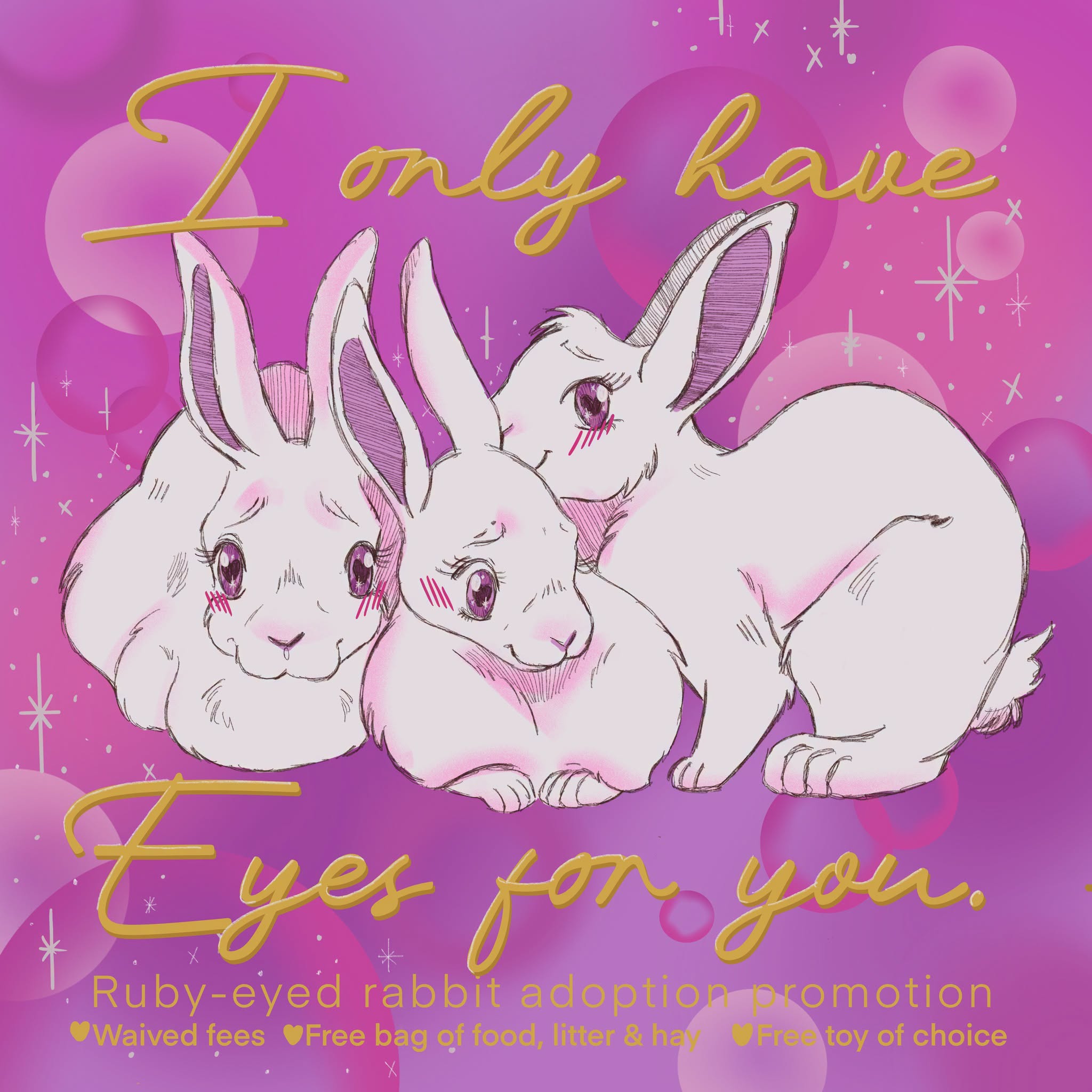 Rabbit Treat/Food Image