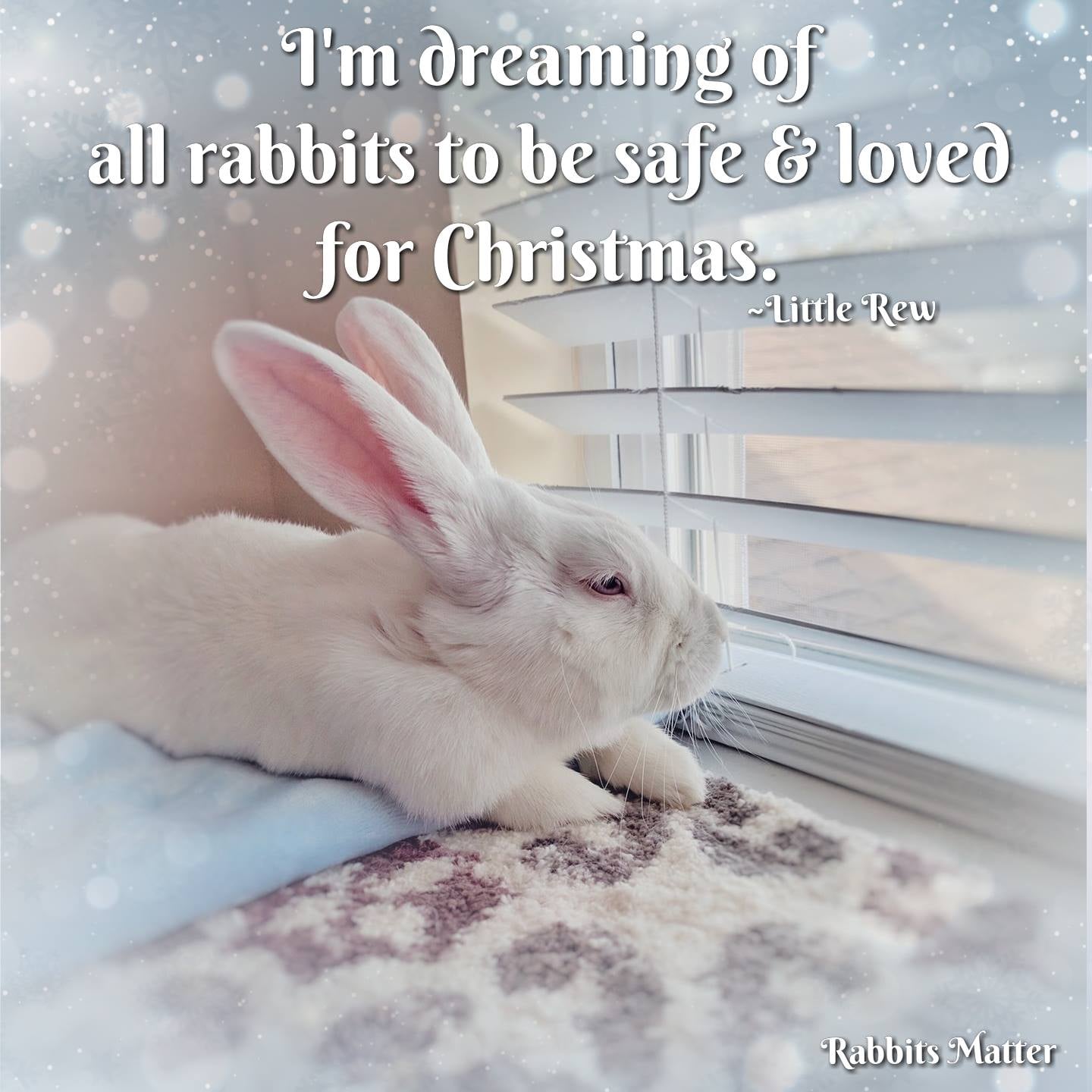 Rabbit Treat/Food Image