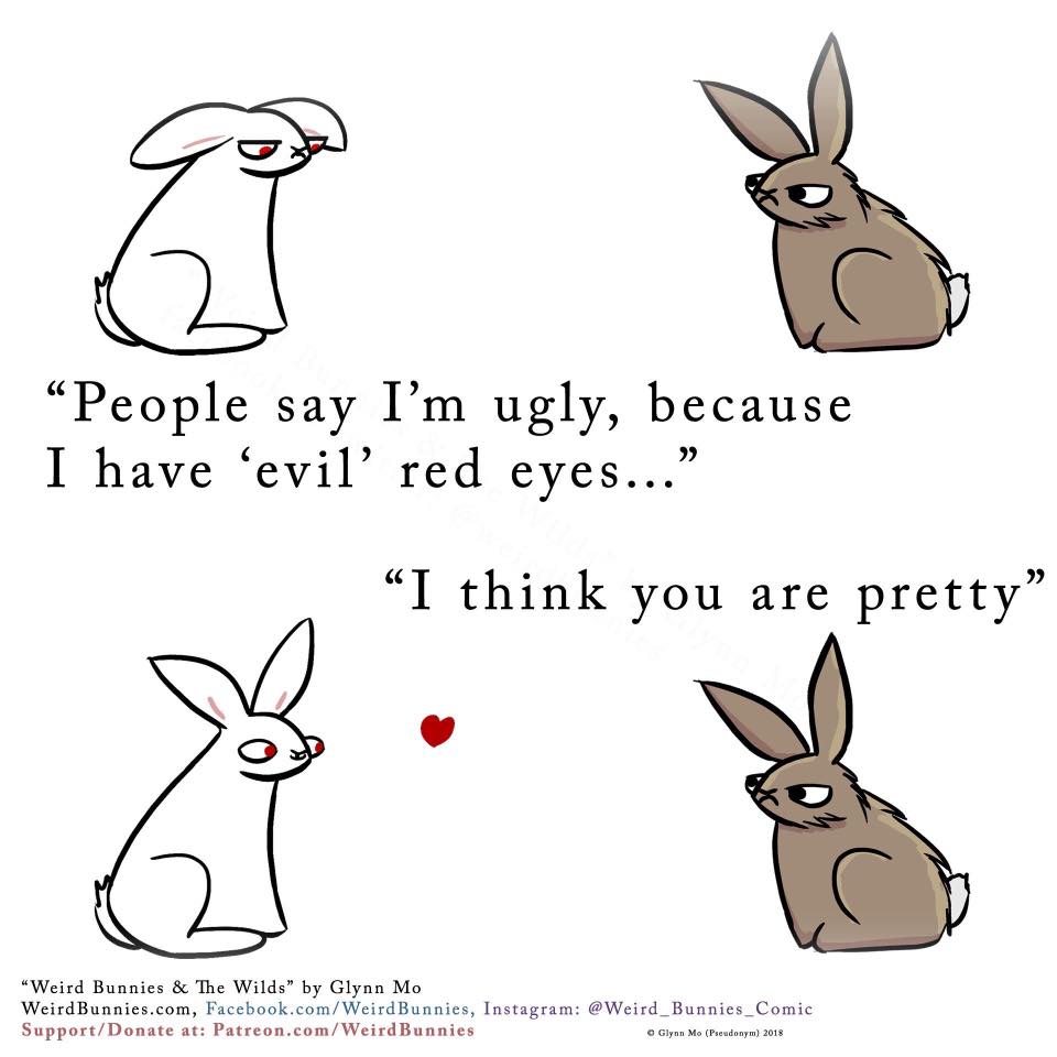 Rabbit Treat/Food Image